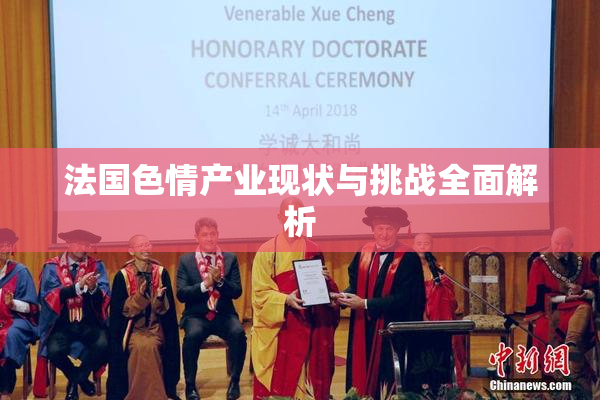法国色情产业现状与挑战全面解析