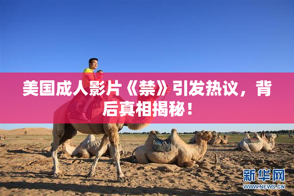 美国成人影片《禁》引发热议，背后真相揭秘！