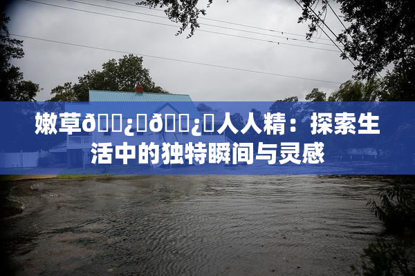 嫩草🌿‌🌿‌人人精：探索生活中的独特瞬间与灵感