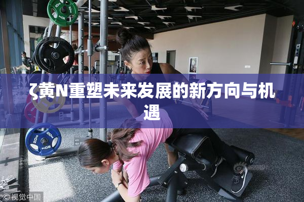 ζ黄Ν重塑未来发展的新方向与机遇