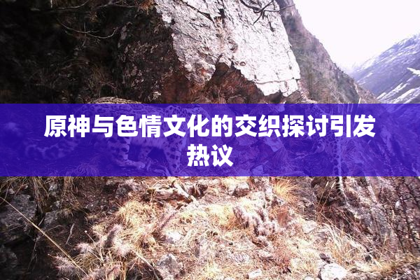 原神与色情文化的交织探讨引发热议
