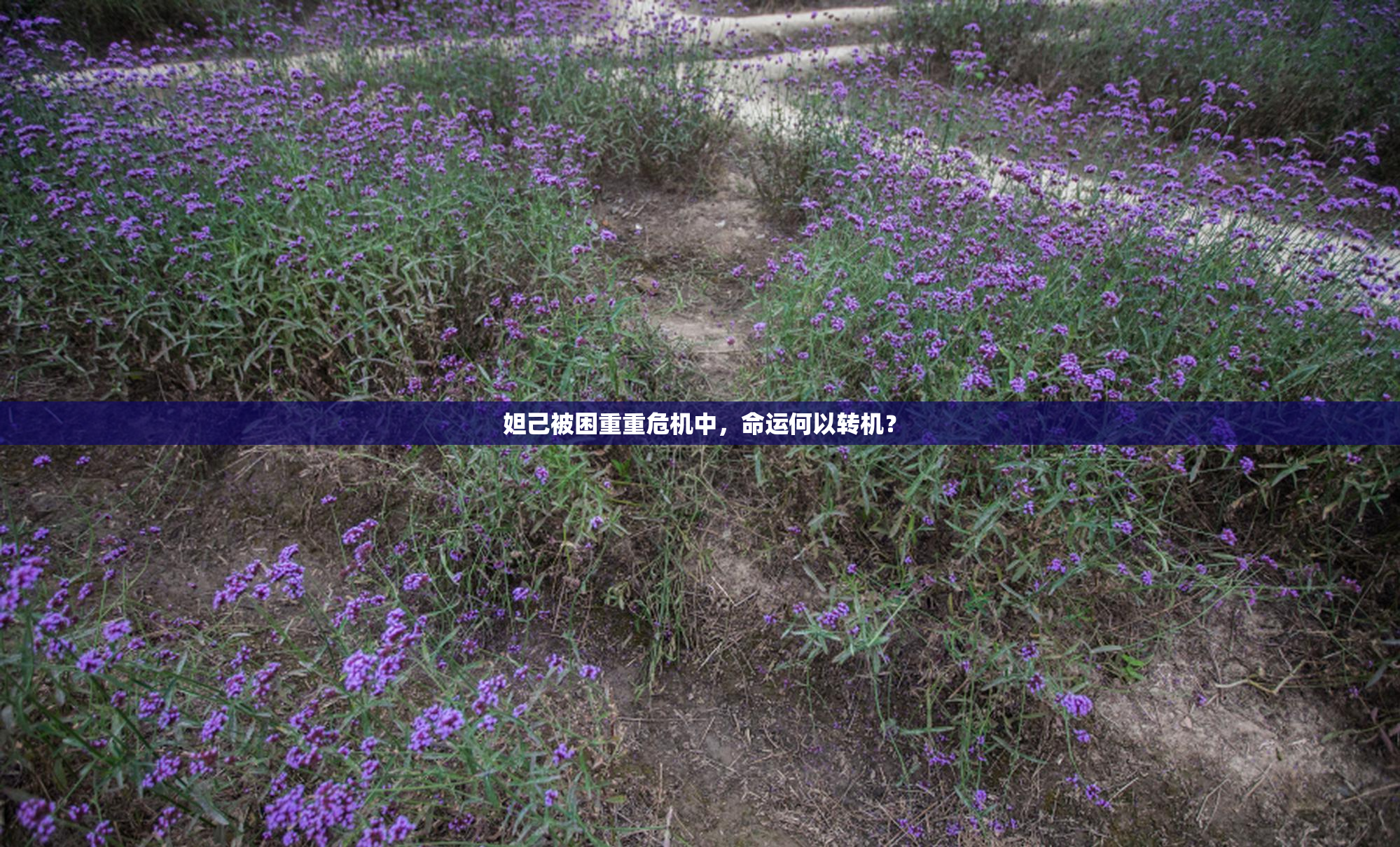 妲己被困重重危机中，命运何以转机？