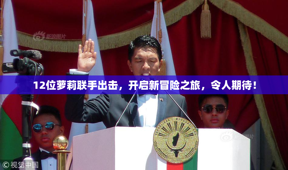 12位萝莉联手出击，开启新冒险之旅，令人期待！