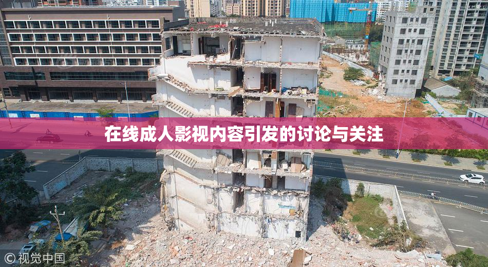 在线成人影视内容引发的讨论与关注