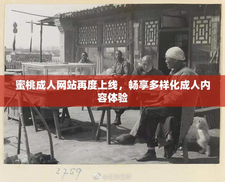 蜜桃成人网站再度上线，畅享多样化成人内容体验