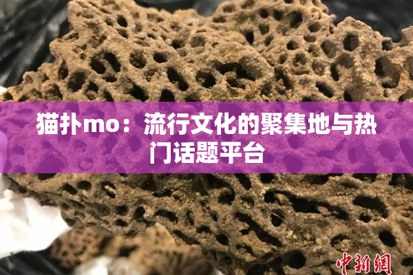 猫扑mo：流行文化的聚集地与热门话题平台