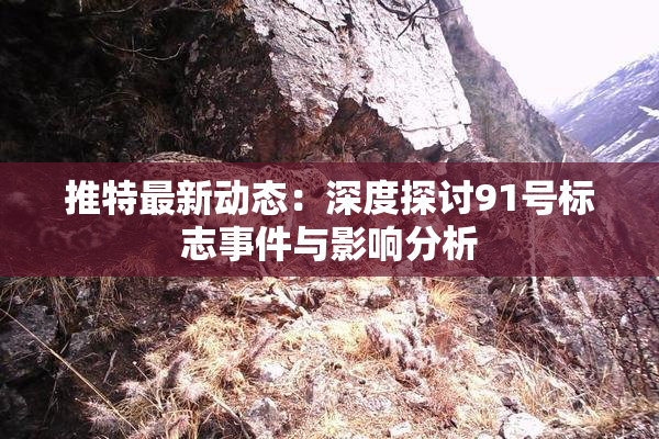 推特最新动态：深度探讨91号标志事件与影响分析