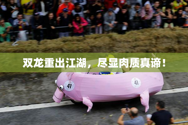双龙重出江湖，尽显肉质真谛！