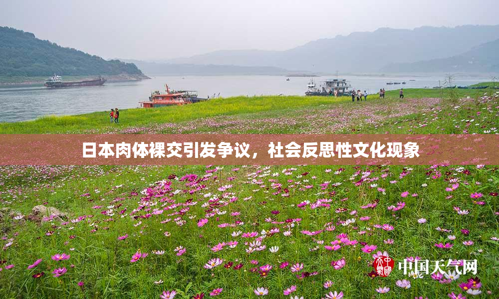 日本肉体裸交引发争议，社会反思性文化现象