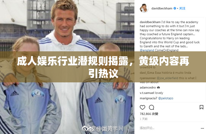 成人娱乐行业潜规则揭露，黄级内容再引热议