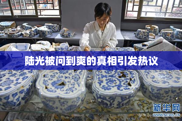 陆光被问到爽的真相引发热议