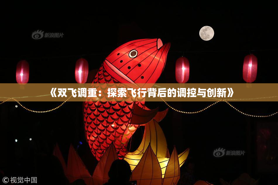《双飞调重：探索飞行背后的调控与创新》