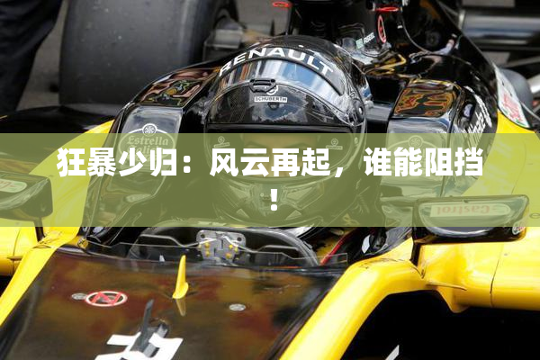 狂暴少归：风云再起，谁能阻挡！