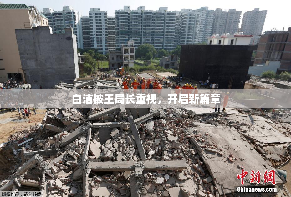 白洁被王局长重视，开启新篇章