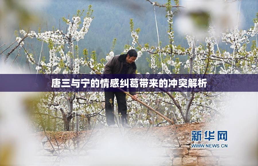 唐三与宁的情感纠葛带来的冲突解析