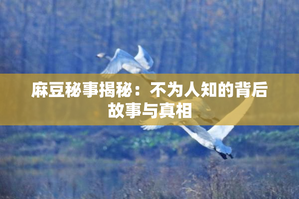 麻豆秘事揭秘：不为人知的背后故事与真相