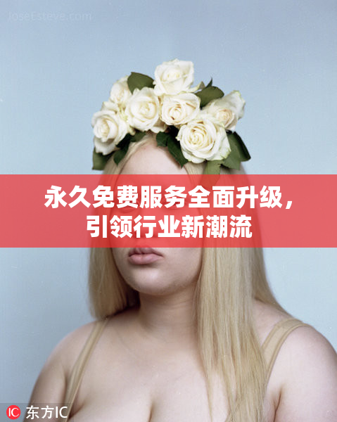 永久免费服务全面升级，引领行业新潮流