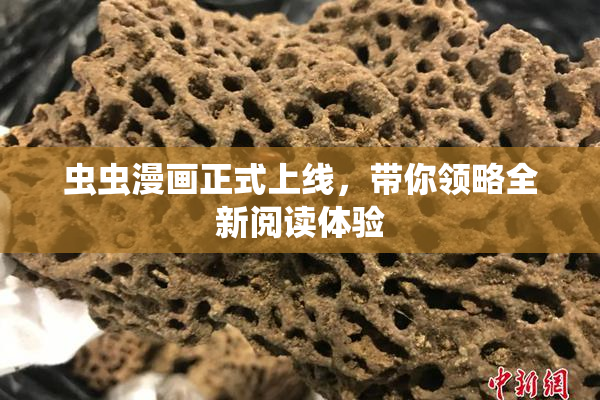虫虫漫画正式上线，带你领略全新阅读体验