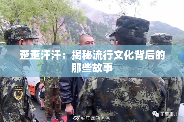 歪歪汗汗：揭秘流行文化背后的那些故事