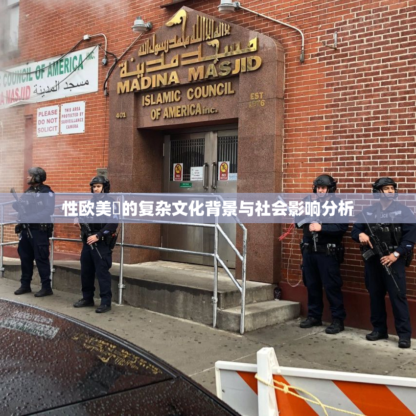 性欧美婬的复杂文化背景与社会影响分析
