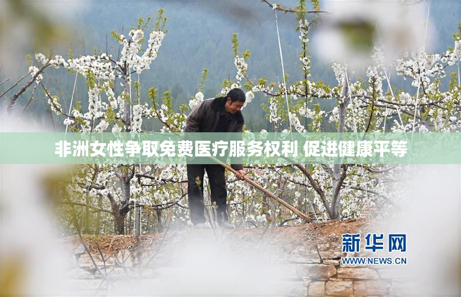 非洲女性争取免费医疗服务权利 促进健康平等