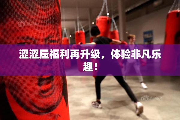 涩涩屋福利再升级，体验非凡乐趣！