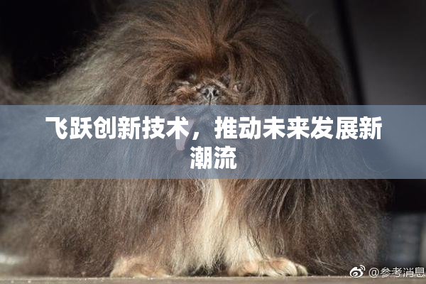 飞跃创新技术，推动未来发展新潮流
