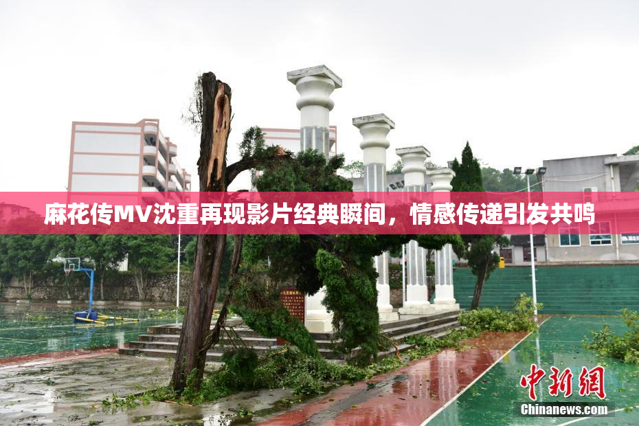 麻花传MV沈重再现影片经典瞬间，情感传递引发共鸣