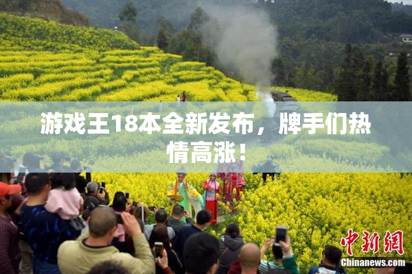游戏王18本全新发布，牌手们热情高涨！