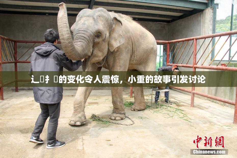 辶喿扌畐的变化令人震惊，小重的故事引发讨论
