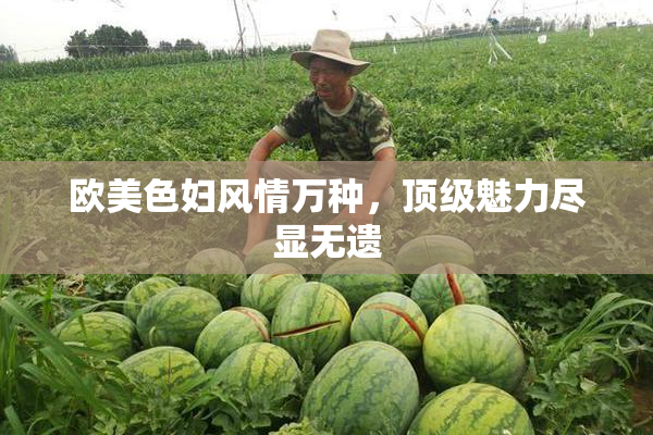 欧美色妇风情万种，顶级魅力尽显无遗