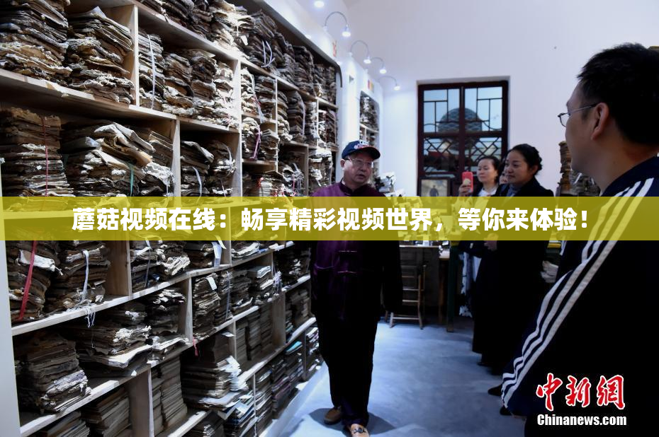 蘑菇视频在线：畅享精彩视频世界，等你来体验！