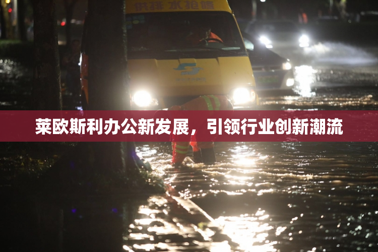 莱欧斯利办公新发展，引领行业创新潮流