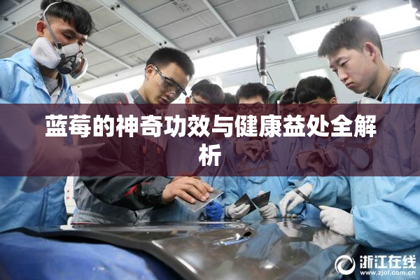 蓝莓的神奇功效与健康益处全解析
