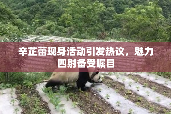 辛芷蕾现身活动引发热议，魅力四射备受瞩目