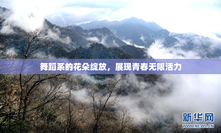 舞蹈系的花朵绽放，展现青春无限活力