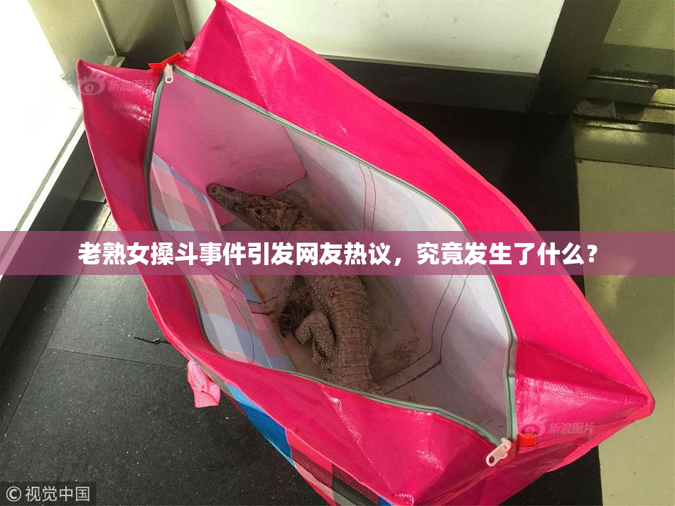 老熟女搡斗事件引发网友热议，究竟发生了什么？