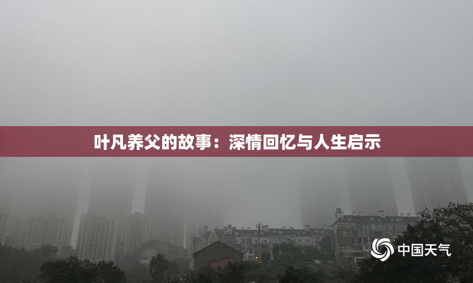叶凡养父的故事：深情回忆与人生启示