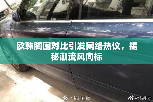 欧韩胸围对比引发网络热议，揭秘潮流风向标