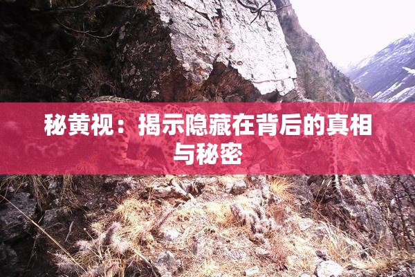 秘黄视：揭示隐藏在背后的真相与秘密