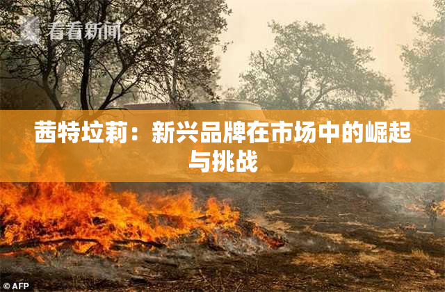 茜特垃莉：新兴品牌在市场中的崛起与挑战