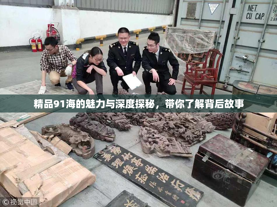 精品91海的魅力与深度探秘，带你了解背后故事
