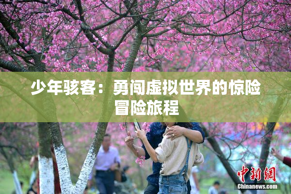 少年骇客：勇闯虚拟世界的惊险冒险旅程