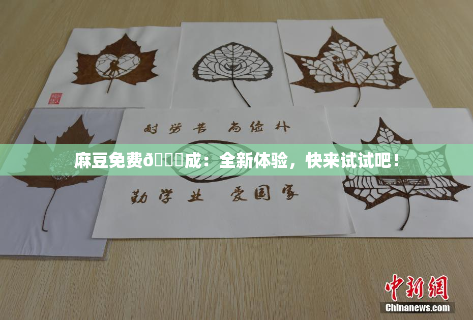 麻豆免费🔞成：全新体验，快来试试吧！