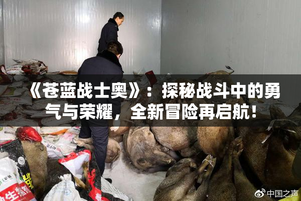 《苍蓝战士奥》：探秘战斗中的勇气与荣耀，全新冒险再启航！