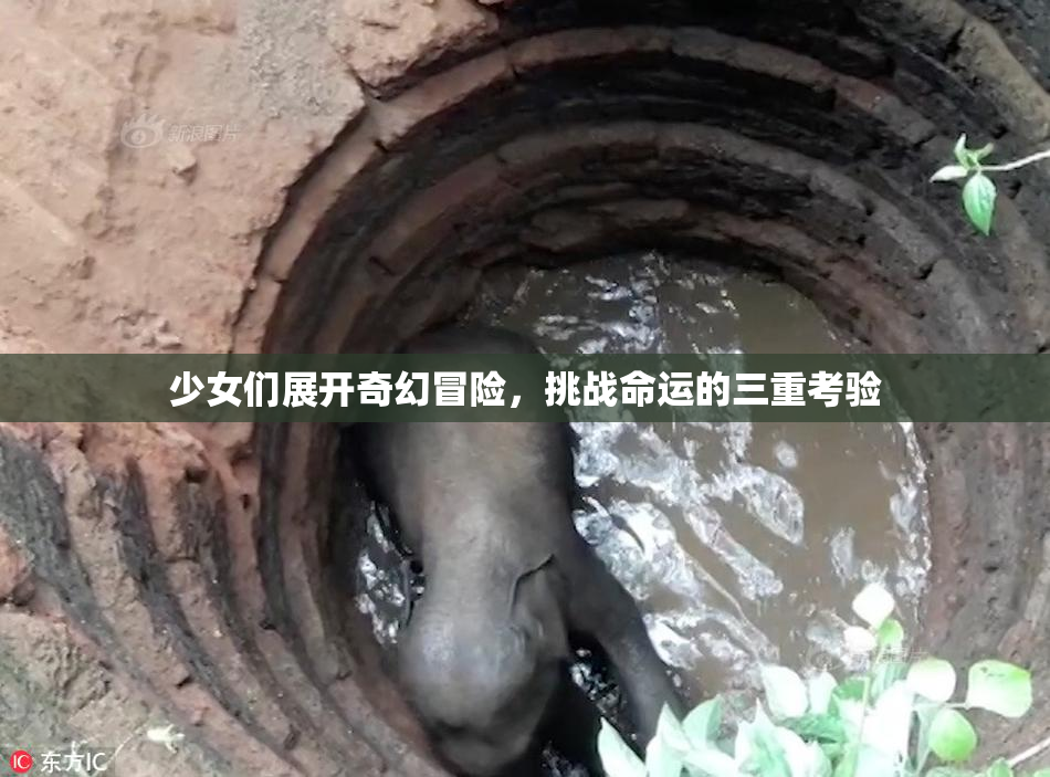 少女们展开奇幻冒险，挑战命运的三重考验
