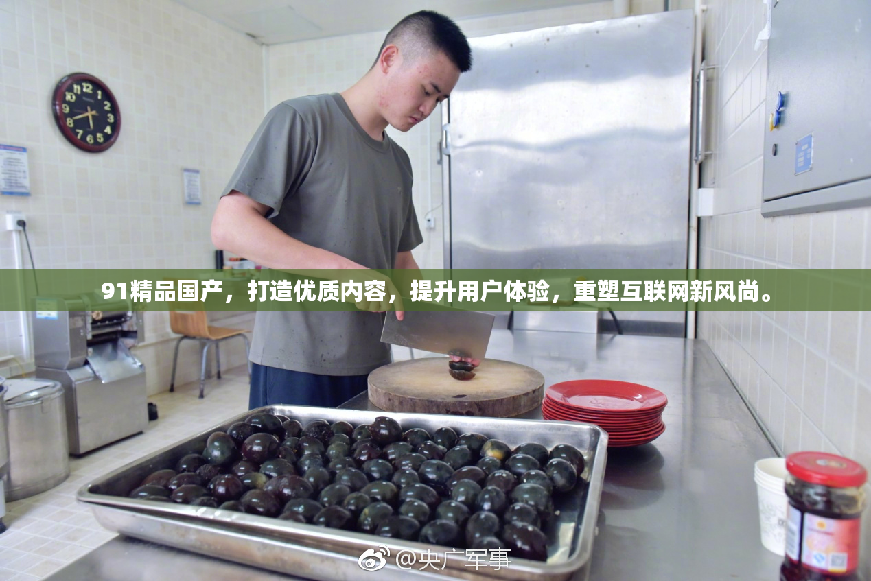 91精品国产，打造优质内容，提升用户体验，重塑互联网新风尚。