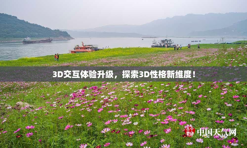 3D交互体验升级，探索3D性格新维度！