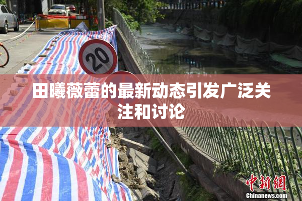 田曦薇蕾的最新动态引发广泛关注和讨论