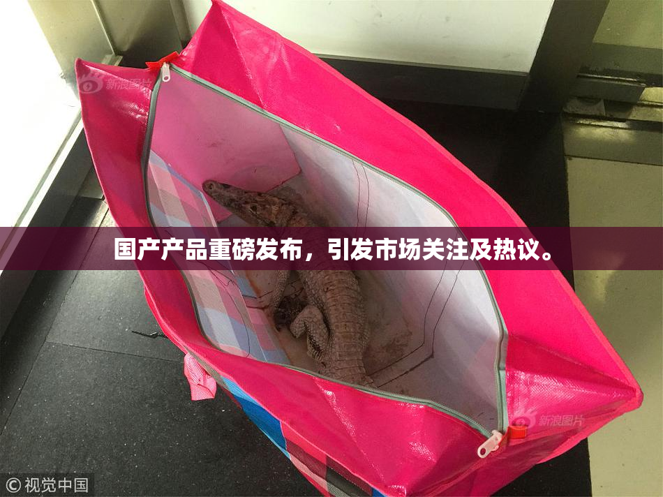 国产产品重磅发布，引发市场关注及热议。
